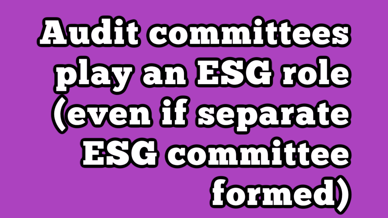 Audit committees play an ESG role (even if separate ESG committee ...